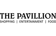 Logo 113